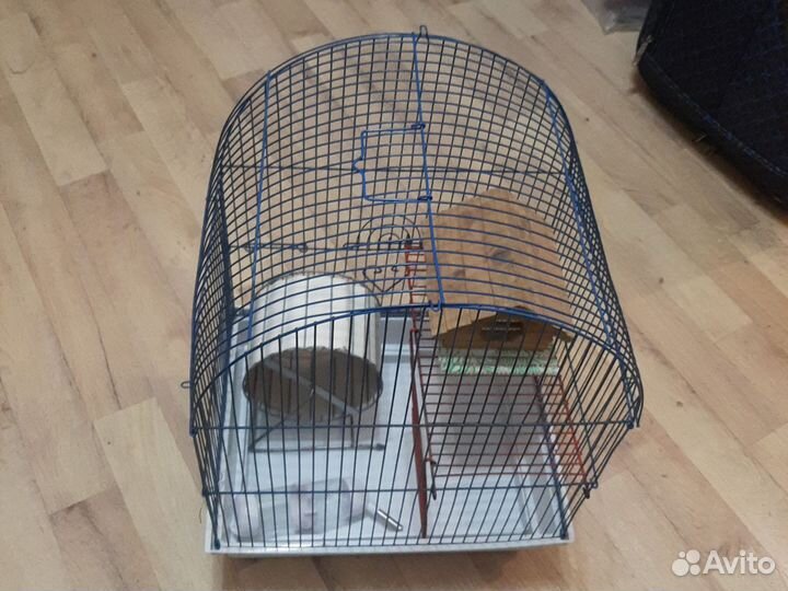 Клетка для хомяка со всеми удобствами