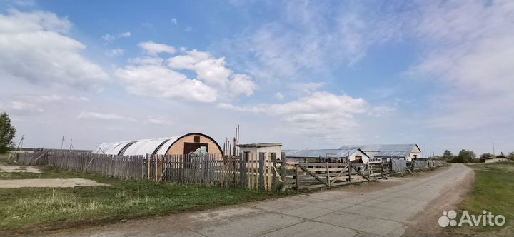 Животноводческая ферма продаю