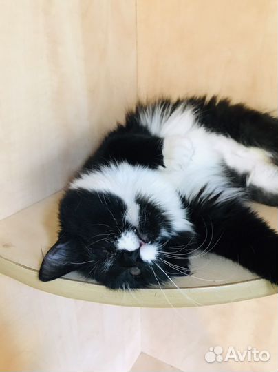 Боня 8 месяцев