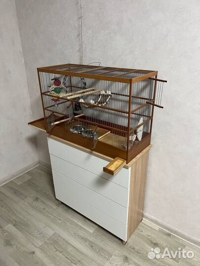 Деревянная клетка для попугая + корма