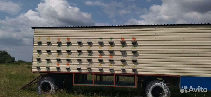 Павильон для пчел