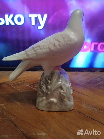 Голубь мира