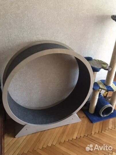 Беговое колесо для кошек