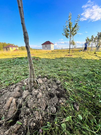 Участок 10 сот. (ИЖС)