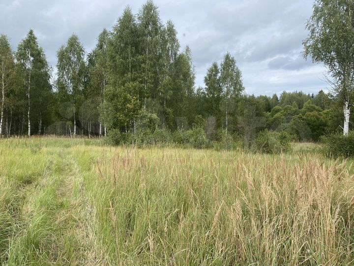 Участок 20 сот. (СНТ, ДНП)