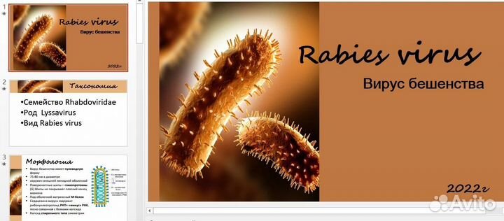 Создание презентаций