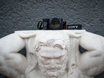 Sony A6500 + 50mm FE1.8