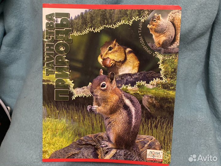 Тетради школьные