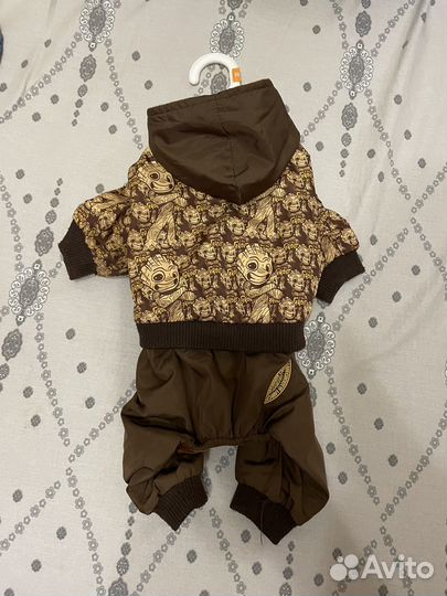 Одежда для собак