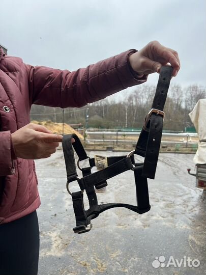 Вальтрап,уздечка,недоуздок, трензель