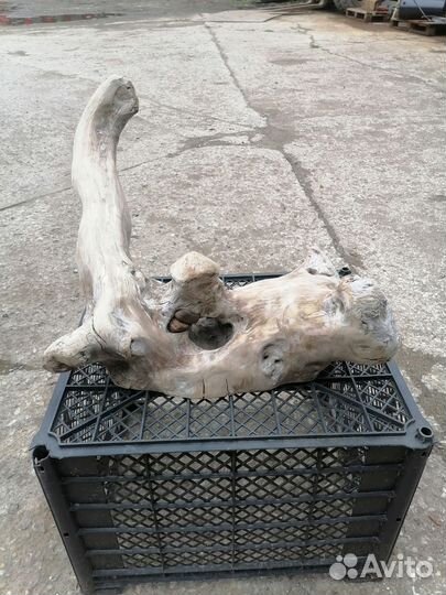 Коряга дрифтвуд