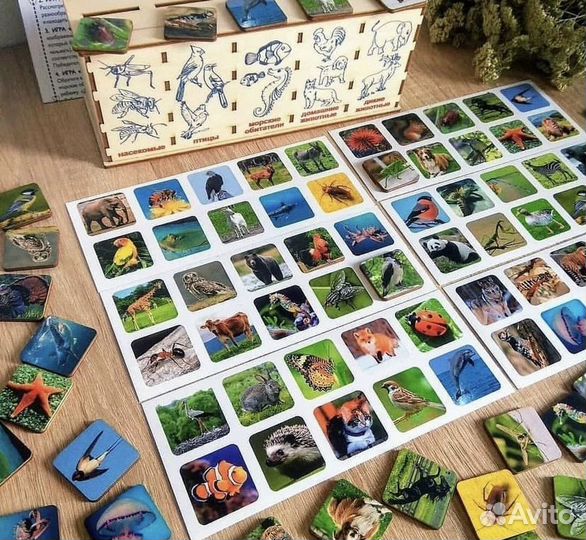 Развивающие игрушки новые