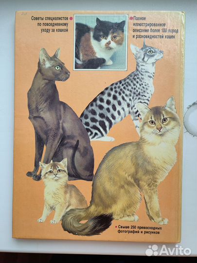 Книга о кошках