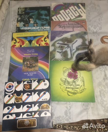 Виниловые пластинки 30штук