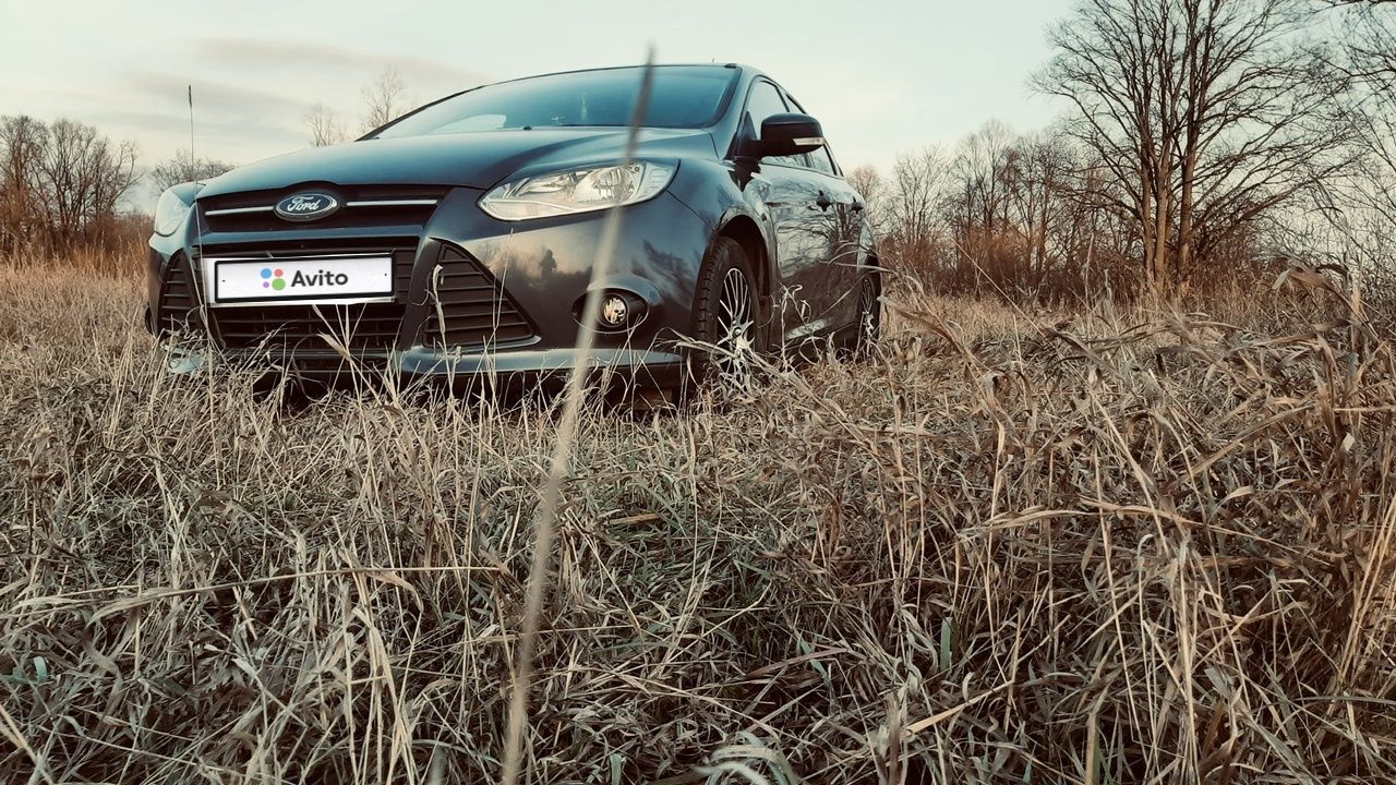 Ford Focus: фото владельца