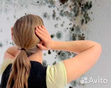 Табачная дымовая шашка для теплиц, погребов