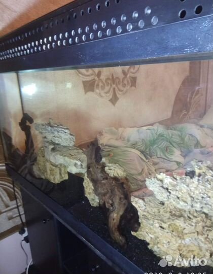 Грунт для аквариума