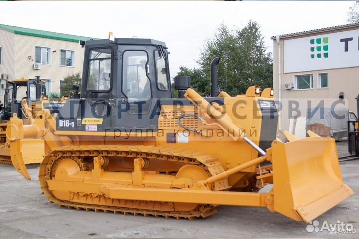 Beezone D16-5, 2023