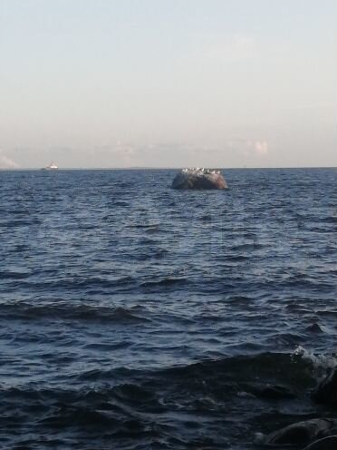 Участок 21 сот. (ИЖС)