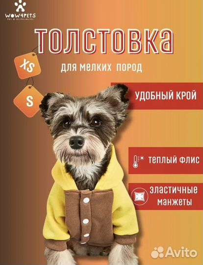 Одежда для животных