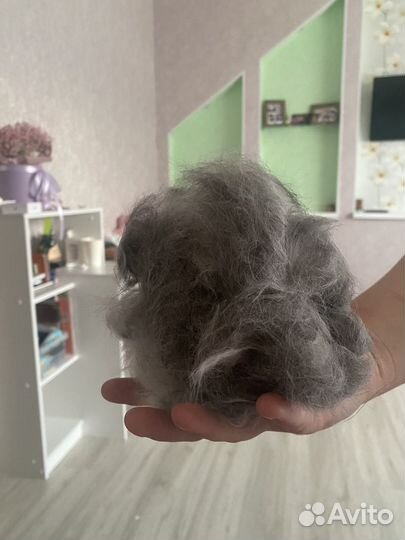 Кошачья шерсть