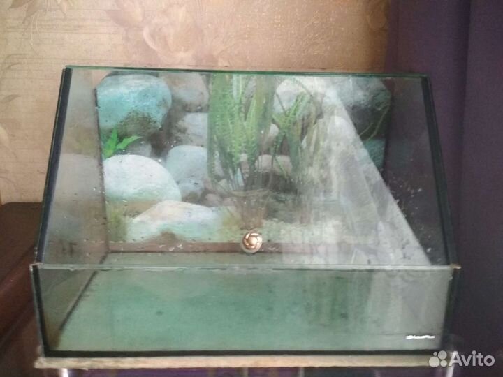 Террариумы