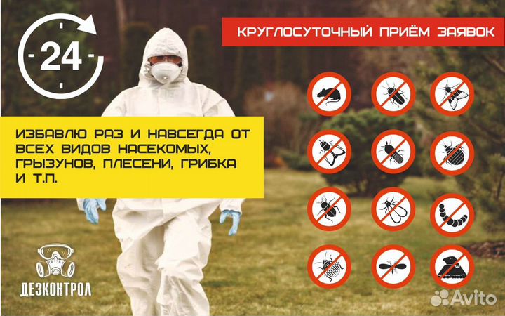 Дезинфекция/Уничтожение/Клопы/Тараканы/Крысы/Запах