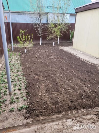 Вспашка участка в Марксе