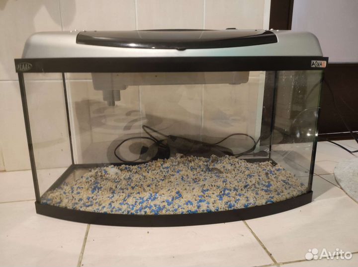 Аквариум