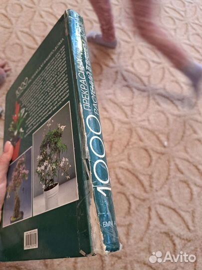 Справочник по уходу за комнатными цветами