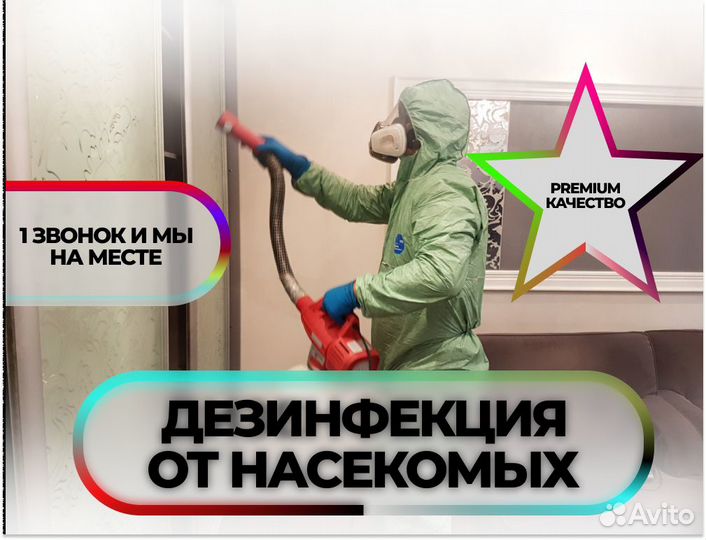 Дезинфекция тараканов клопов морить насекомых