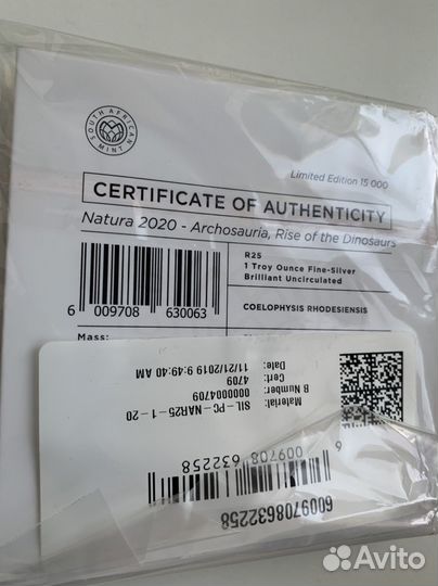 Динозавр юар целофиз 2020