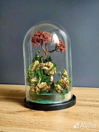 Моссариум, флорариум