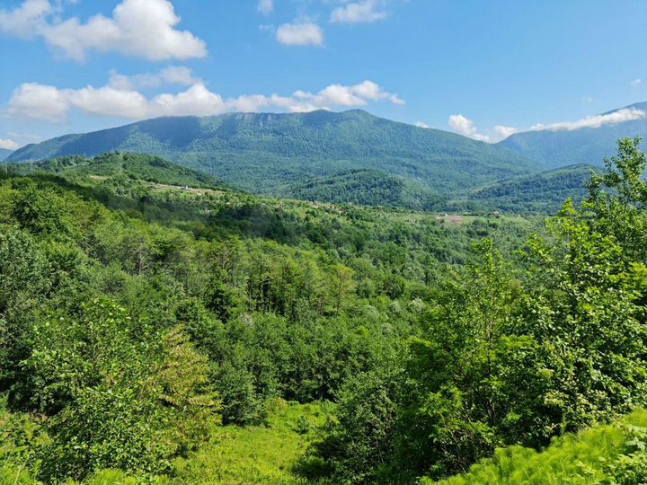 Участок 60 сот. (ИЖС)