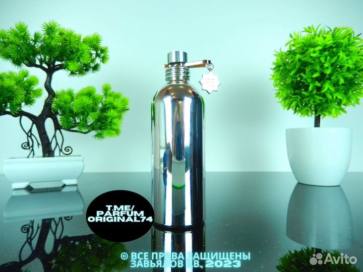 Montale - Chocolate Greedy