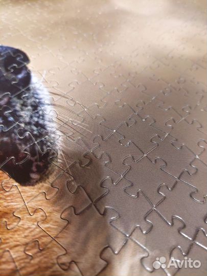 Пазлы 4000 Hatber, step Puzzle