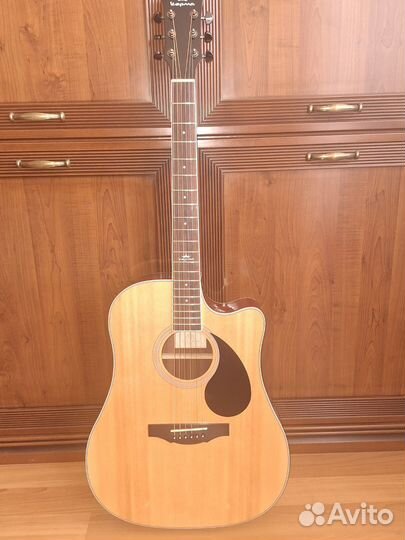 Акустическая гитара D1C