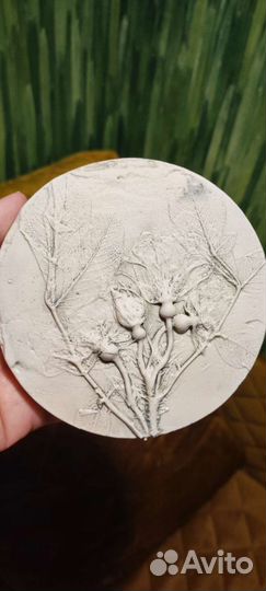 Ботанический барельеф