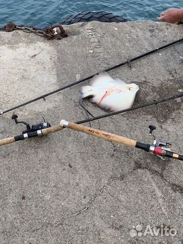 Спиннинги с большим тестом купить в Москве | Хобби и отдых | Авито