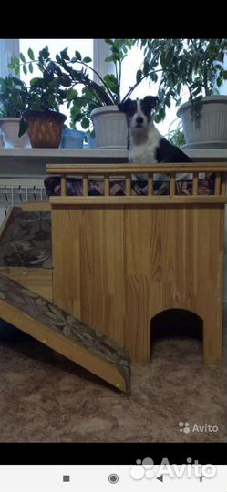 Дом с лежанкой