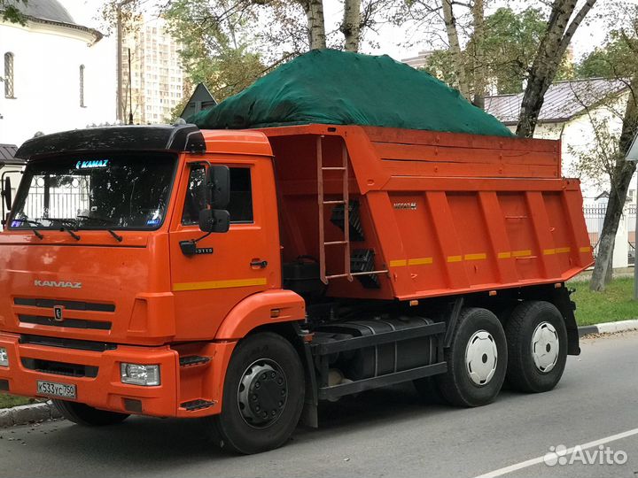 КамАЗ 65115-А5, 2019