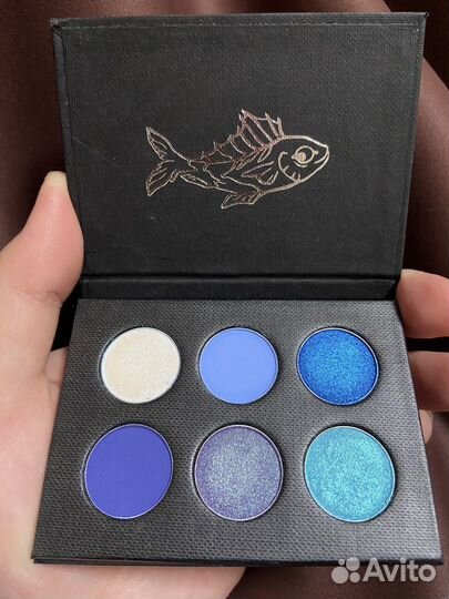 Веселая ледяная рыбка Tammy tanuka