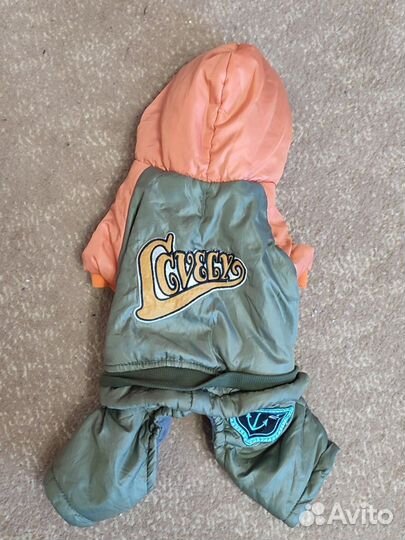 Костюм для маленьких собачек