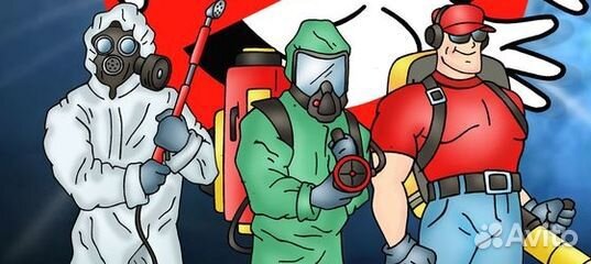 Дезинфектор без поиска клиентов