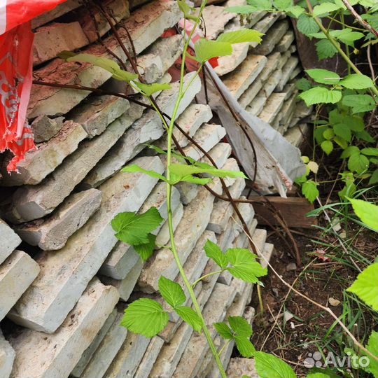 Облицовочный камень