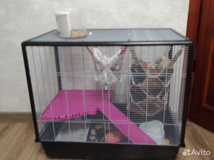 Клетка savic