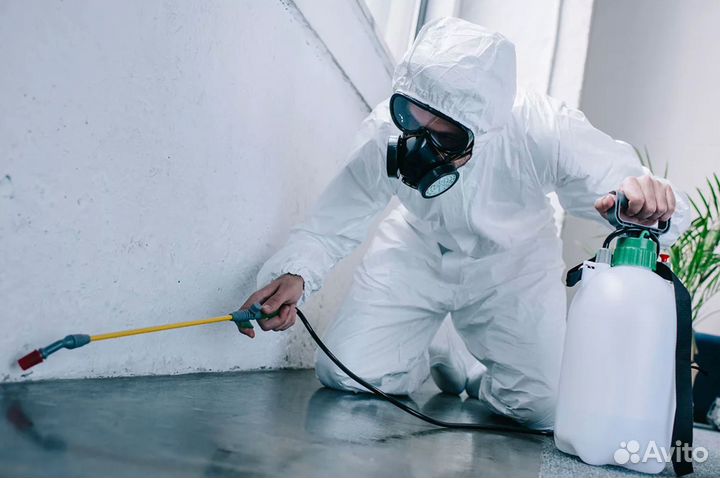 Уничтожение тараканов, клопов, комаров, крыс мышей