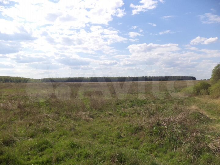 Участок 3,5 га (СНТ, ДНП)