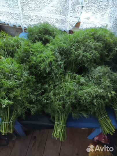 Зелень оптом с огорода