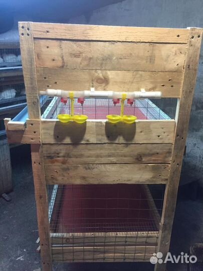 Клетки для бройлеров